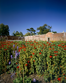 <b class=qtipBold><figcaption>Osborne House gardens K040245</figcaption></b><br>OSBORNE HOUSE, Isle of Wight. View from inside the walled garden.<br><em>© Historic England</em> Osborne House gardens K040245