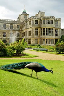 English Stately Homes Gallery: Audley End House Collection