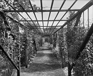 Bedford Lemere Collection (1860s-1944) Collection: The pergola at Sandycroft BL23602_005