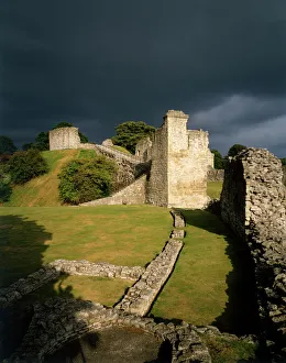 Yorkshire Castles Gallery: Pickering Castle J910166