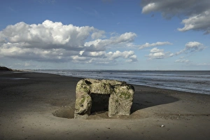 Coastal Landscapes Gallery: Pillbox DP188407