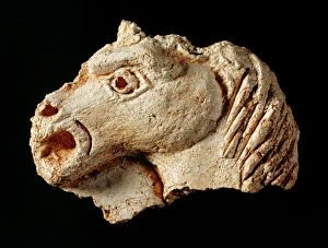Plaster fragment of a horses head, Berry Pomeroy Castle J920689