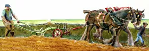 Agricultural History Gallery: Ploughing J910039