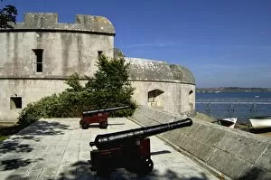 Travel South West England Collection: Portland Castle N040032