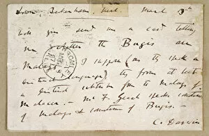 Charles Darwin and Down House Collection: Postcard from Charles Darwin to A R Wallace K960212