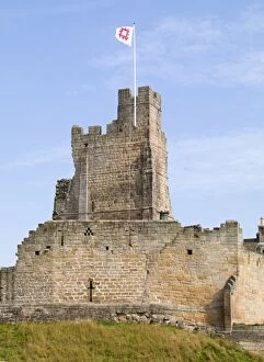 Castles in North East England Collection: Prudhoe Castle N100396