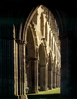 <b class=qtipBold><figcaption>Rievaulx Abbey J060078</figcaption></b><br>RIEVAULX ABBEY, North Yorkshire. View through silhouetted arch to Presbytery arcade looking North East.<br><em>© Historic England</em> Rievaulx Abbey J060078
