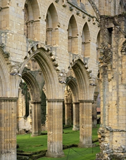 <b class=qtipBold><figcaption>Rievaulx Abbey J060224</figcaption></b><br>RIEVAULX ABBEY, North Yorkshire. The arches and buttresses of the north side of the abbey.<br><em>© Historic England</em> Rievaulx Abbey J060224