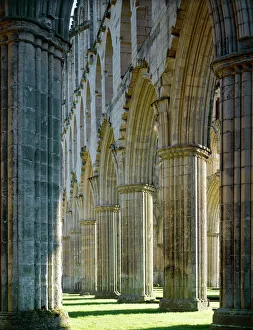 <b class=qtipBold><figcaption>Rievaulx Abbey J070047</figcaption></b><br>RIEVAULX ABBEY, North Yorkshire. The arches on the south side of the presbytery from the east end of the abbey church - autumn sunshine.<br><em>© Historic England</em> Rievaulx Abbey J070047