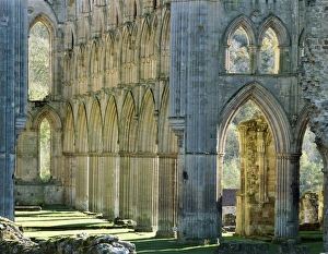 <b class=qtipBold><figcaption>Rievaulx Abbey J070048</figcaption></b><br>RIEVAULX ABBEY, North Yorkshire. The arches on the south side of the presbytery from the middle of the abbey church - autumn colour.<br><em>© Historic England</em> Rievaulx Abbey J070048