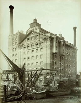 Ships and boats Collection: Robinsons Flour Mill, Deptford, London 1883 BL03876