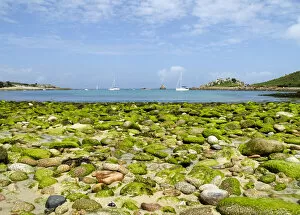 Scilly Isles Gallery: Scilly beach DP085525