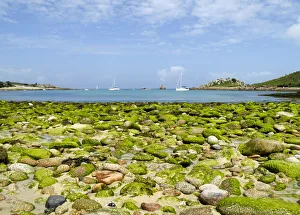 Scilly Isles Gallery: Scilly beach DP085525