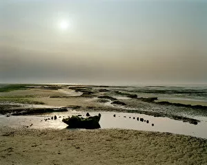 Coastal Landscapes Gallery: Sea Henge J990152