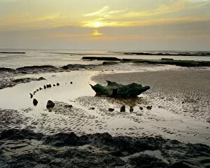 Coastal Landscapes Gallery: Sea Henge N990007