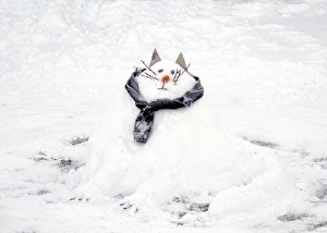 <b class=qtipBold><figcaption>Snow Cat DP087403</figcaption></b><br>Snow scene. Snowman 'snowcat'.<br><em>© Historic England</em> Snow Cat DP087403