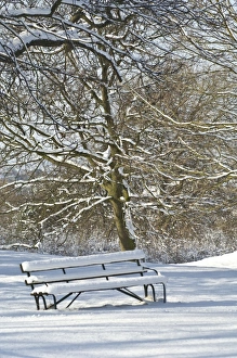<b class=qtipBold><figcaption>Snow covered bench N090025</figcaption></b><br>ELTHAM PALACE, London. A snow covered bench in the grounds.<br><em>© Historic England</em> Snow covered bench N090025