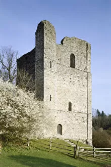 Castles of the South East Gallery: St Leonards Tower K030197