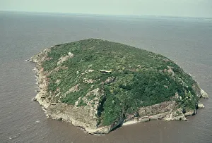 Coastal Landscapes Gallery: Steep Holm JEH_22025_06