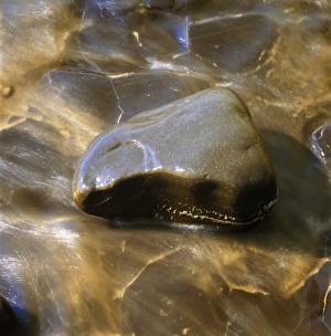 Coastal Landscapes Gallery: Stone on the beach K020295