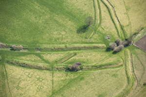 <b class=qtipBold><figcaption>Stonea Camp 27422_009</figcaption></b><br>Stonea Camp, Cambridgeshire. Lying in the Fens near March, this is the lowest Iron Age hillfort in Britain. Detail of the earthwork remains of banks and ditches with evidence of ringmarks within the enclosed area.<br><em>© Historic England Archive</em> Stonea Camp 27422_009