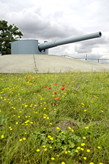 <b class=qtipBold><figcaption>Tilbury Fort gun N071539</figcaption></b><br>TILBURY FORT, Essex. View of wall mounted gun in a concrete emplacement.<br><em>© Historic England</em> Tilbury Fort gun N071539