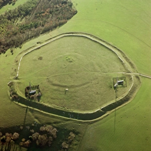 <b class=qtipBold><figcaption>The Trundle 21025_07</figcaption></b><br>The Trundle, St Roche's Hill, West Sussex. Inside the well-defined ramparts of an Iron Age hillfort lie the fainter remains of a Neolithic causewayed enclosure dating to perhaps 3700-3300 BC. Although the function of such enclosures is not clear they were not settlements. Photographed in November 2000.<br><em>© Historic England Archive</em> The Trundle 21025_07