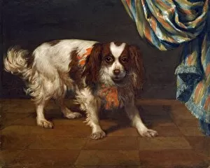 Other paintings in London Collection: Van der Kuyl - A King Charles Spaniel J960070