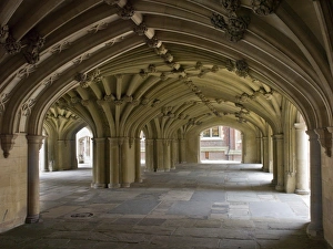 <b class=qtipBold><figcaption>Vaulted undercroft DP130541</figcaption></b><br>The Honourable Society of Lincolnas Inn, Camden, London. The undercroft below the Chapel.<br><em>© Historic England</em> Vaulted undercroft DP130541