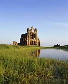 Romantic Ruins Gallery: Whitby Abbey N070033