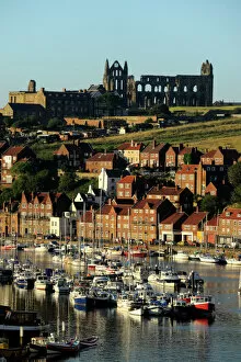 Coastal Landscapes Gallery: Whitby Abbey N080818
