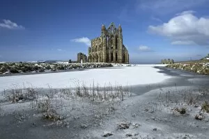 Whitby Abbey Collection: Whitby Abbey N100027