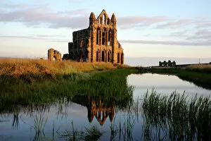 Reflections Collection: Whitby Abbey at sunrise N080791