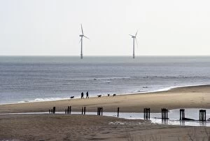 Coastal Landscapes Gallery: Wind farm N090478