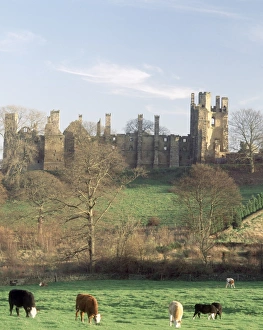 <b class=qtipBold><figcaption>Wingfield Manor K940856</figcaption></b><br>WINGFIELD MANOR, South Wingfield, Derbyshire. Exterior view of the medieval manor house built c1429-56 and was where Mary, Queen of Scots was imprisioned.<br><em>© Andrew Tryner</em> Wingfield Manor K940856
