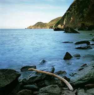 Coastal Landscapes Gallery: Woody Bay, Devon K020604