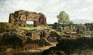 Romantic Ruins Gallery: Wroxeter Roman City E910155
