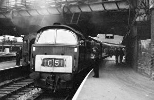 Station Collection: Class 52 Western Diesel Locomotive at Paddington Station