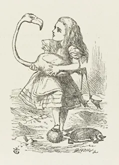 Flamingo Gallery: Alice with the Flamingo