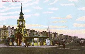 Seafront Gallery: The Aquarium, Brighton Seafront, West Sussex