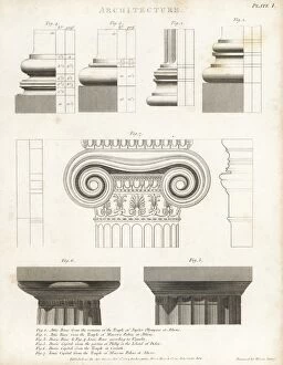 Attic, Doric and Ionic features from Greek architecture