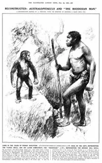 Reconstruction Gallery: Australopithecus and the Rhodesian Man