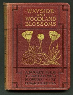Step Gallery: Book cover, Wayside and Woodland Blossoms