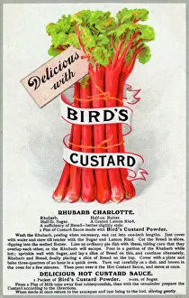 Dessert Collection: A bunch of Rhubarb - delicious with Birds Custard