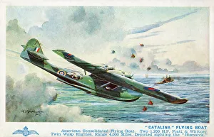 Twin Gallery: Catalina Flying Boat Catalina Flying Boat
