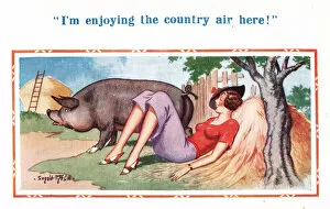 Enjoying Gallery: Comic postcard, Pretty young woman and pig