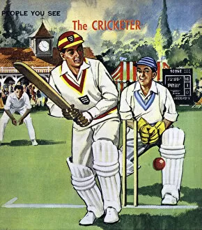 Pavilion Collection: The Cricketer