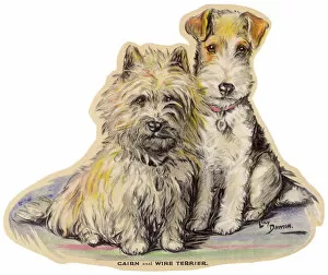 Seated Collection: Dogs, Cairn and Wire Terrier, Dawson
