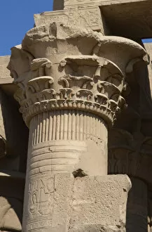 Egyptian Art. Temple of Kom Ombo. Papyrus column