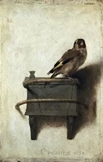 Paintings Gallery: FABRITIUS, Carel (1622-1654). The Goldfinch. ca